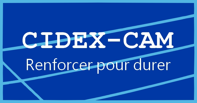 CIDEX-CAM SARL – Experts en renforcement de chaussées